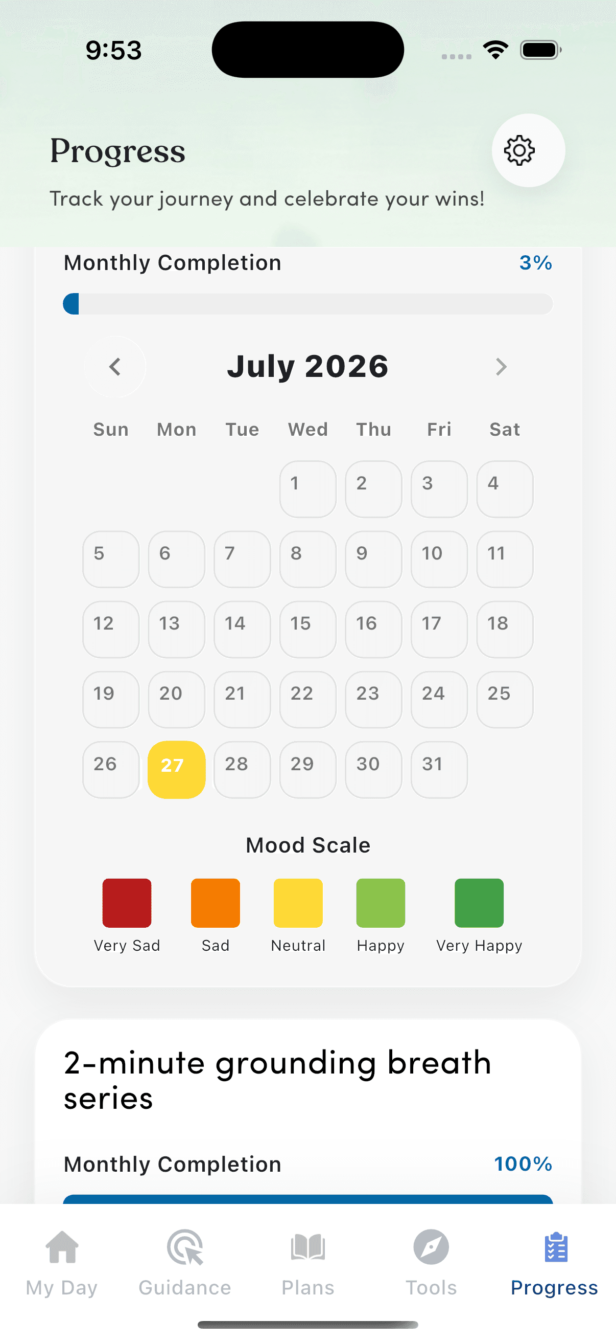 ADY habit progress tracking screen